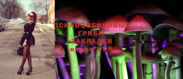 хмурый Армянск