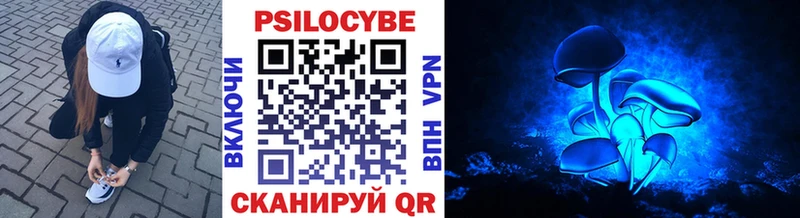 как найти   Чапаевск  Галлюциногенные грибы ЛСД 