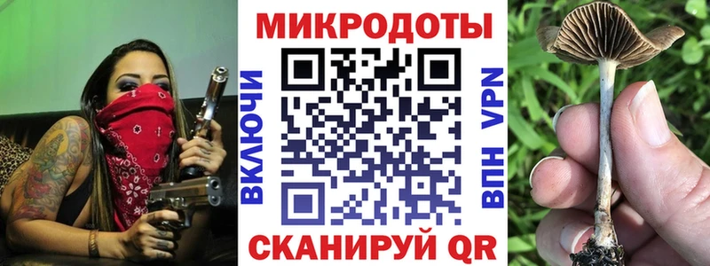 Галлюциногенные грибы Cubensis Чапаевск